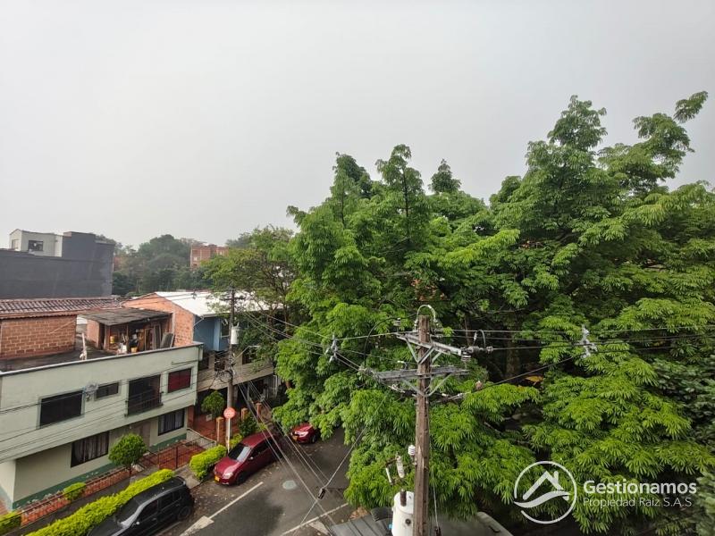 11.jpeg